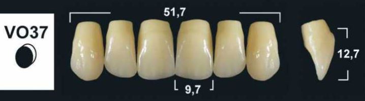VO37 B3 UPPER ANTERIOR TRIBOS TEETH | Oraltec